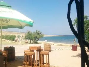 Holiday house Rončević 50 m from sea A1 - Jasenice