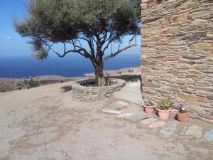 GOLDEN CAPE COTTAgE Andros Greece