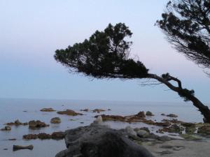 La Tortorella Room & Apartment img65