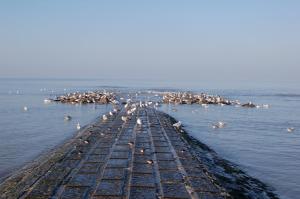 Residentie Koksijde promenade