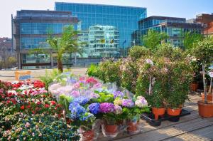 Residentie Koksijde promenade