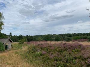 Nordheidehaus - Villa