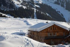 Azureva La Clusaz les Aravis photo 18