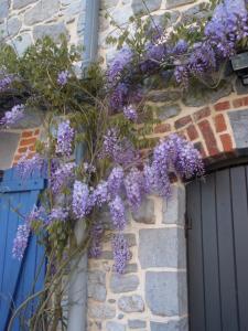 Maisons d'hotes La Parenthese Avesnoise : photos des chambres