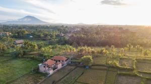 A home, like a dream