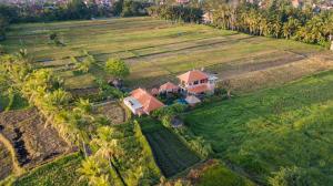 A home, like a dream