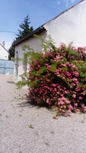 Maisons de vacances Gite de Marcureau : photos des chambres