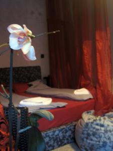 Vila 6aTo Hotel & Wellnes