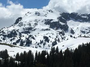 Chalet Park Apartment mit Sauna Hamam