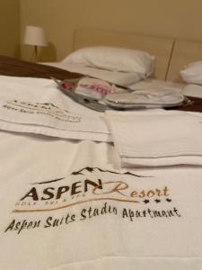 Aspen Suits Studio Apartment