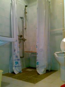 IANUA COELI 3
