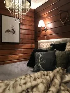 Levinlento - Köngäs