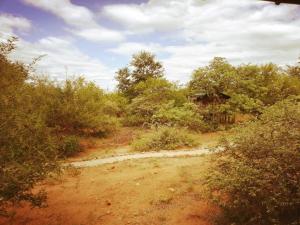 Kelora Bush Camp