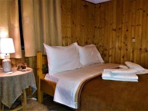 Hotel Acropolis Metsovo Epirus Greece