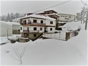Hotel Acropolis Metsovo - Metsovo