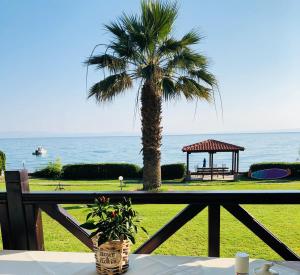 ON THE BEACH apartment
