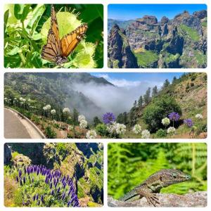 Villa Isabela - Car Rental for Free