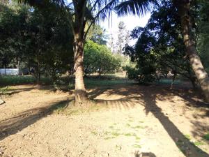 BALAJI Holidays