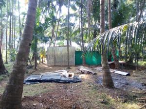 BALAJI Holidays