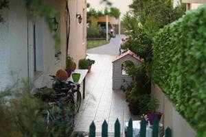 Antonis Family Apartment Rethymno Greece