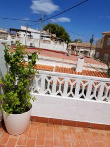Exclusive Apartment - Playa de Marenys de Rafalcaid
