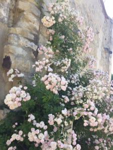 Demeure de Forterre photo 15