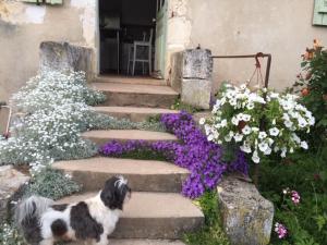 Demeure de Forterre photo 9
