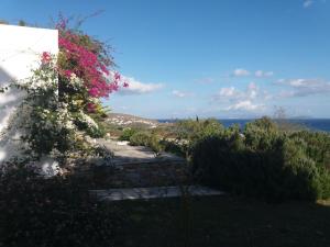 Villa Celestina, Great for Privacy and Seclusion Sifnos Greece