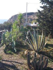 Villa Celestina, Great for Privacy and Seclusion Sifnos Greece