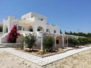 Villa Kampos Naousa-Marpisa - Ambelas