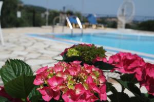 Villa Bacchus Kassiopi Corfu Corfu Greece