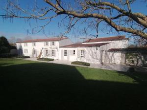 A l'ombre du figuier