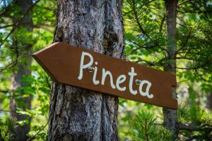 Pineta 