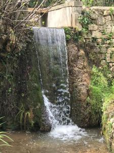 Maisons de vacances Le Moulin Haut Gites, Bien-Etre et Permaculture : photos des chambres