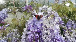 vivienda vacacional Benilde - Botazo