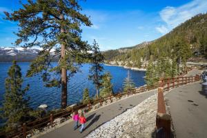 Three Bedroom Apartment room in Cedars West