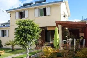 CASAMELIAS "Le ficus" - 萨拉济