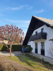 Apartma Take It Easy