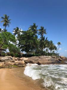 Eden Reverie Wellness Stay