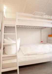 Dänische Ferienhäuser am Salzhaff Haus Pacific