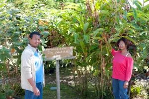 Le Ruisseau - Le Guillaume