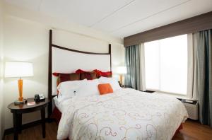 Standard King Room with Sofa Bed - Non-Smoking room in Hotel Indigo Chicago - Vernon Hills an IHG Hotel