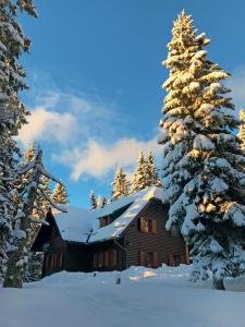 Apartma Apartmajska hi&scaron;a Mu&scaron;trinka Cerklje na Gorenjskem Slovenija