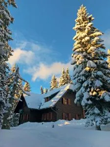 Apartmajska hiša Muštrinka - 戈雷尼斯卡地区采尔克列