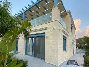 Eco Life Stone Villa - Áyios Andhréas