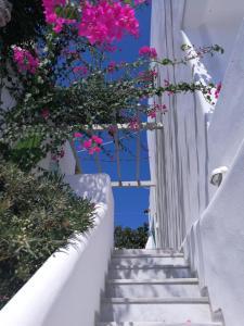 Vrohaki Studios & Rooms Paros Greece