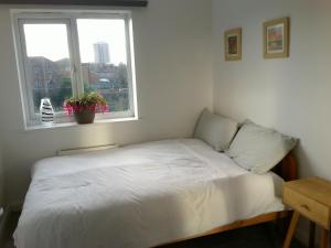Two bedroom London Luxury Apartment