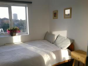 Two bedroom London Luxury Apartment