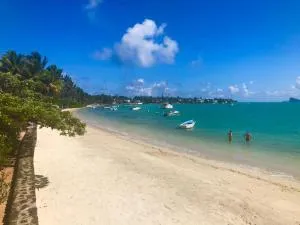 Bay Complex (The) - Sottise