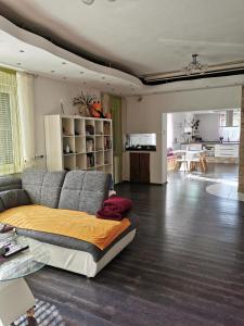 Апартамент Wohlf&uuml;hlen in Oberdrosen. Thermennah! Windisch Minihof Австрия